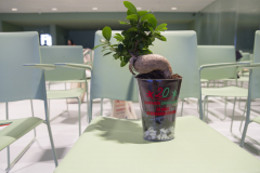 MAINNOVA II EDICIÓN