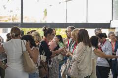 MAINNOVA II EDICIÓN