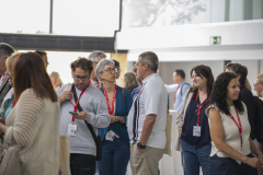 MAINNOVA II EDICIÓN