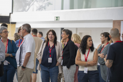 MAINNOVA II EDICIÓN