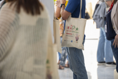 MAINNOVA II EDICIÓN