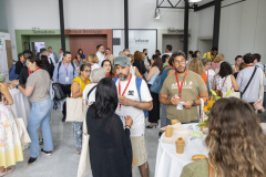 MAINNOVA II EDICIÓN