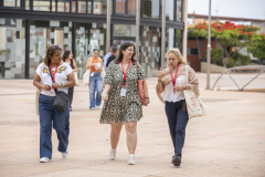 MAINNOVA II EDICIÓN