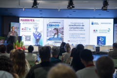 MAINNOVA II EDICIÓN