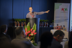 MAINNOVA II EDICIÓN