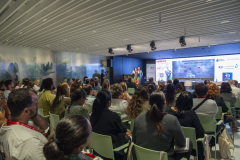 MAINNOVA II EDICIÓN