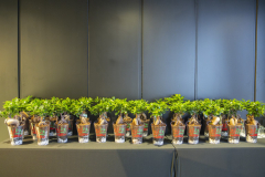 MAINNOVA II EDICIÓN