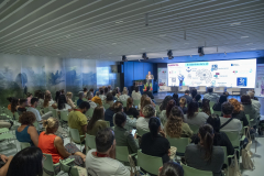 MAINNOVA II EDICIÓN