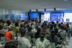 MAINNOVA II EDICIÓN