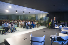 MAINNOVA II EDICIÓN