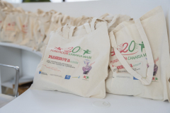 MAINNOVA II EDICIÓN