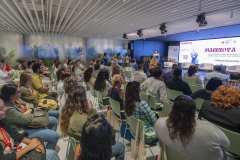 MAINNOVA II EDICIÓN