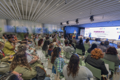 MAINNOVA II EDICIÓN