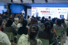 MAINNOVA II EDICIÓN