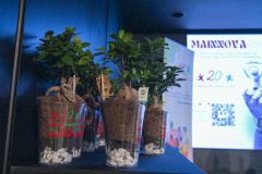 MAINNOVA II EDICIÓN