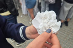 Imagen-de-WhatsApp-2025-05-23-a-las-12.10.58_59f6ac49