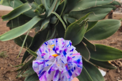 Imagen-de-WhatsApp-2025-05-23-a-las-12.18.17_0f9531f4