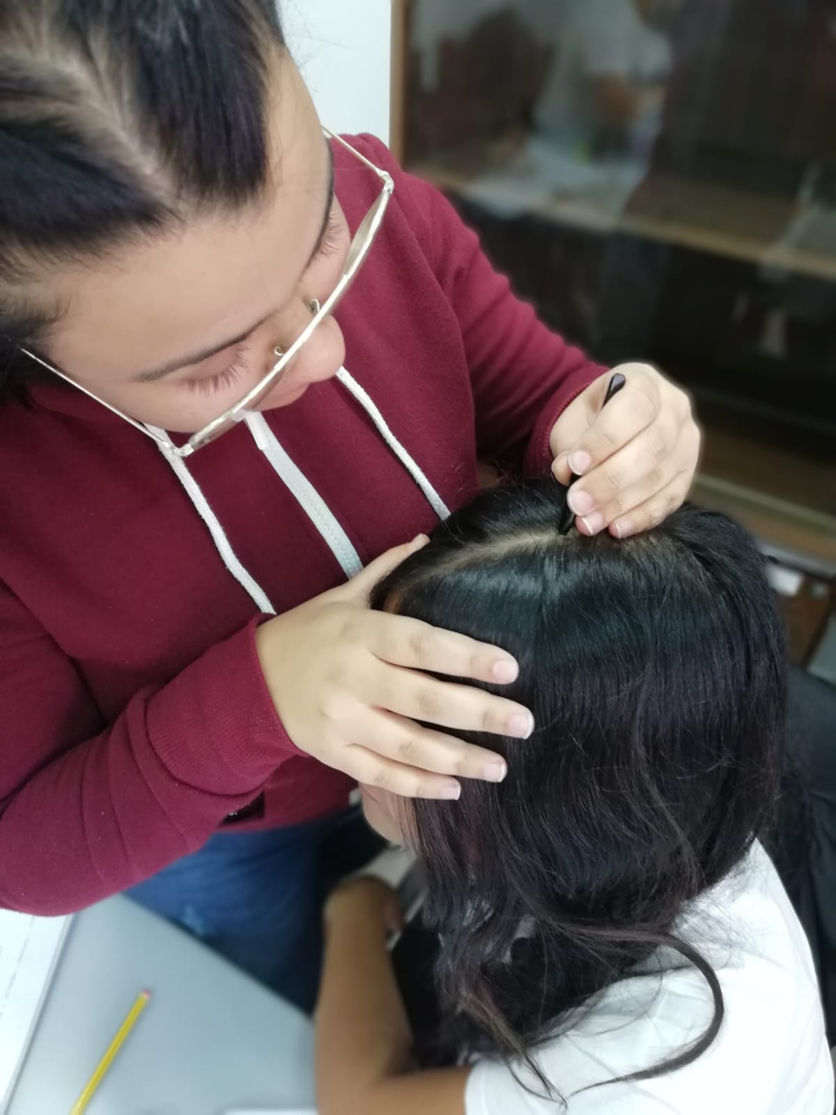 Célula somatica Similar después del colegio Módulo de «Análisis del cuero cabelludo y cabello» en PIIIL Bellísim@ –  Fundación Main